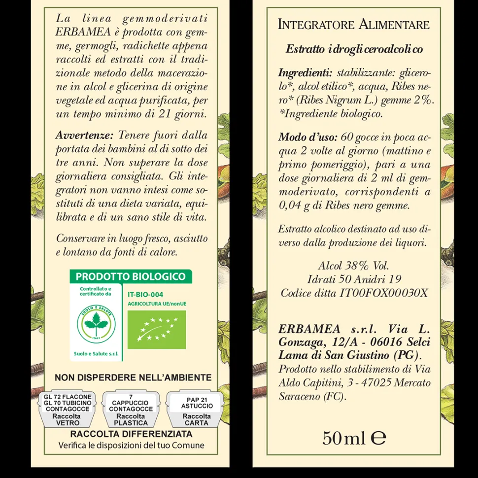 Integratore Ribes Nigrum