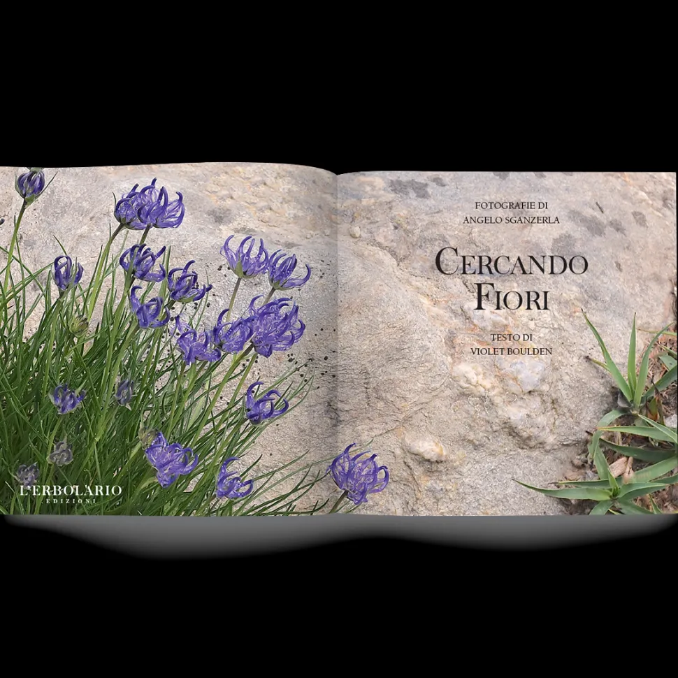 Libro Cercando Fiori