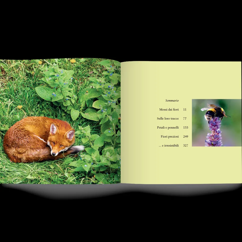 Libro Cercando Fiori