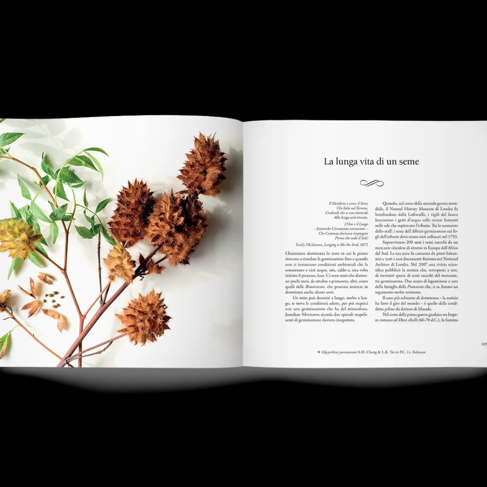 Libro I Semi della Vita