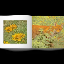 Libro Magic Garden