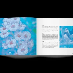 Libro Magic Garden