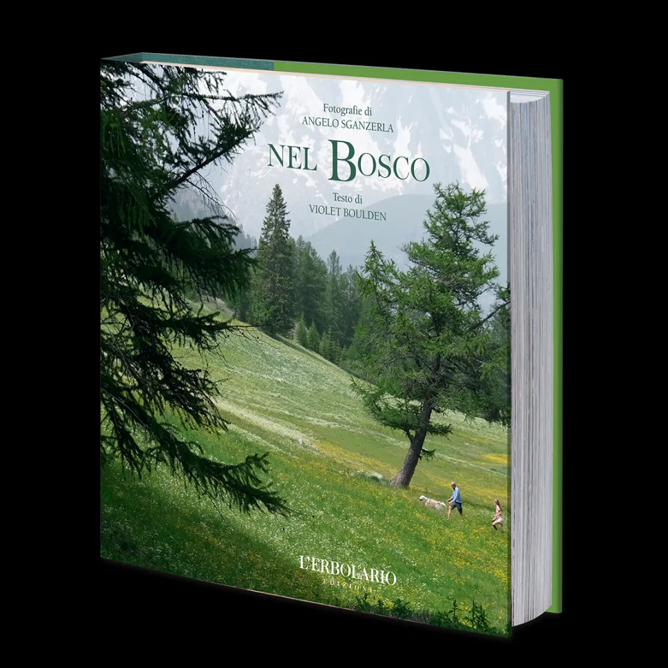 Libro Nel Bosco