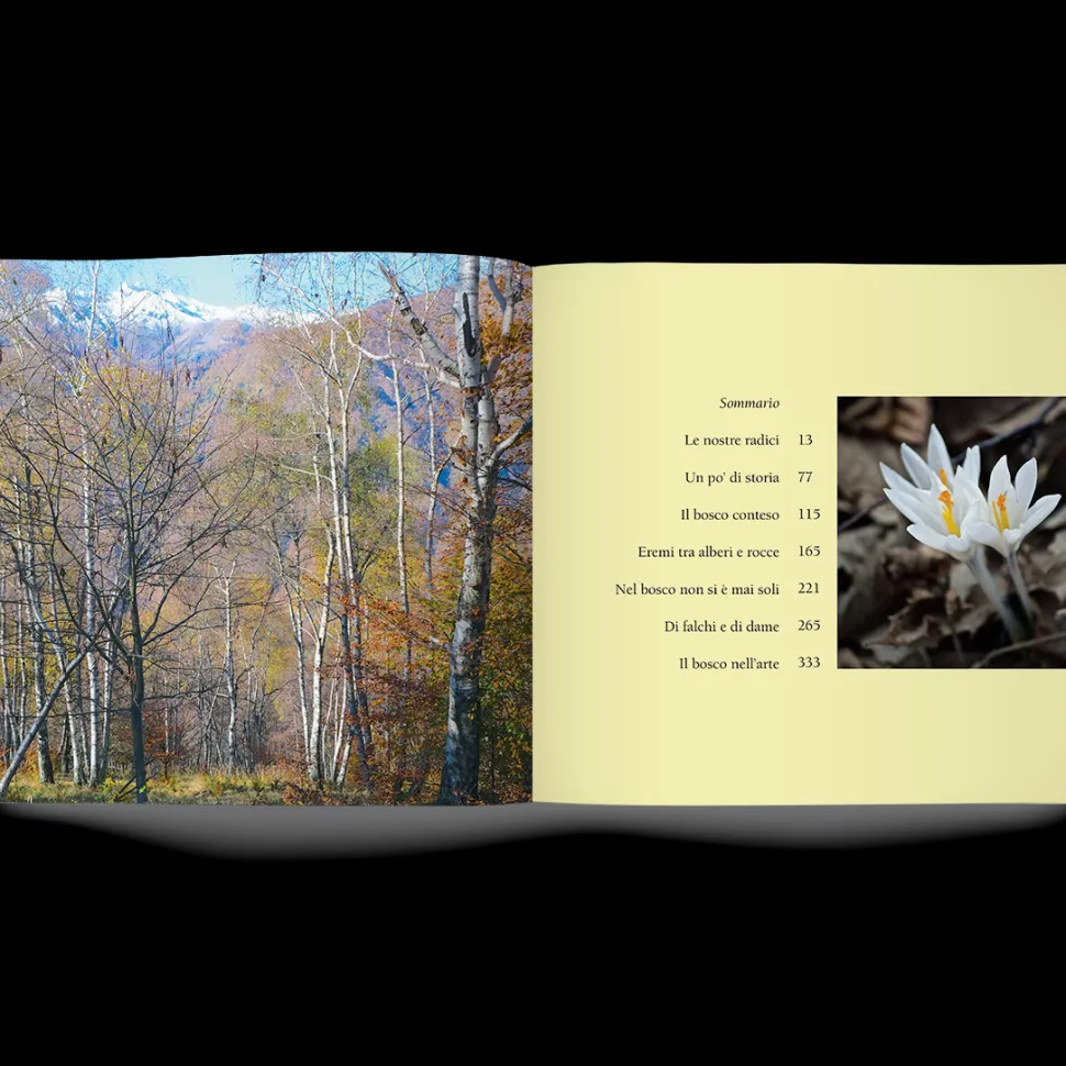 Libro Nel Bosco