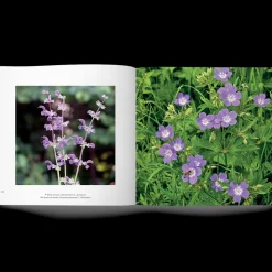 Libro Nel Bosco