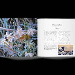 Libro Nel Bosco