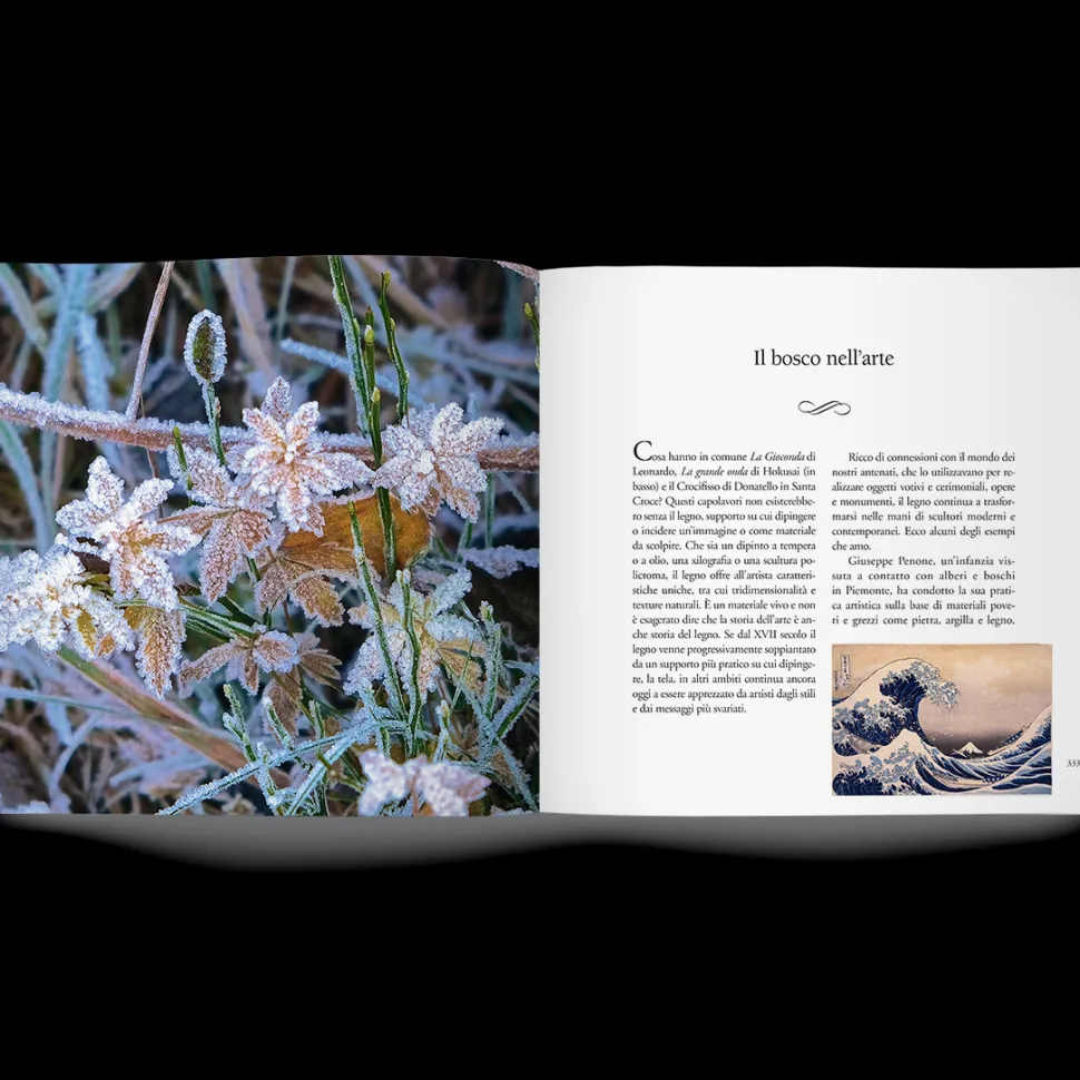 Libro Nel Bosco