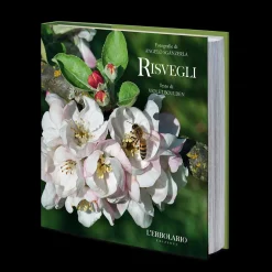 Libro Risvegli