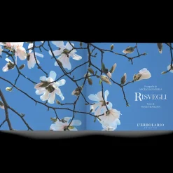 Libro Risvegli