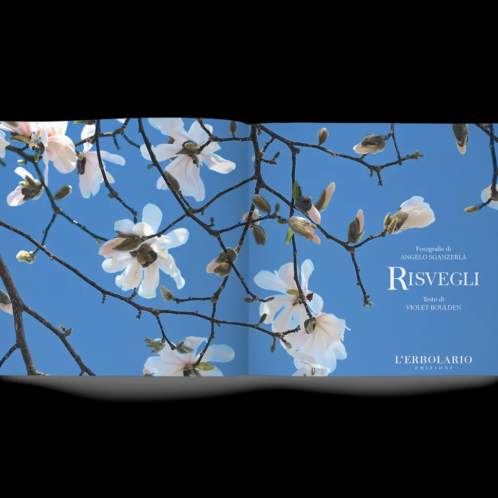 Libro Risvegli