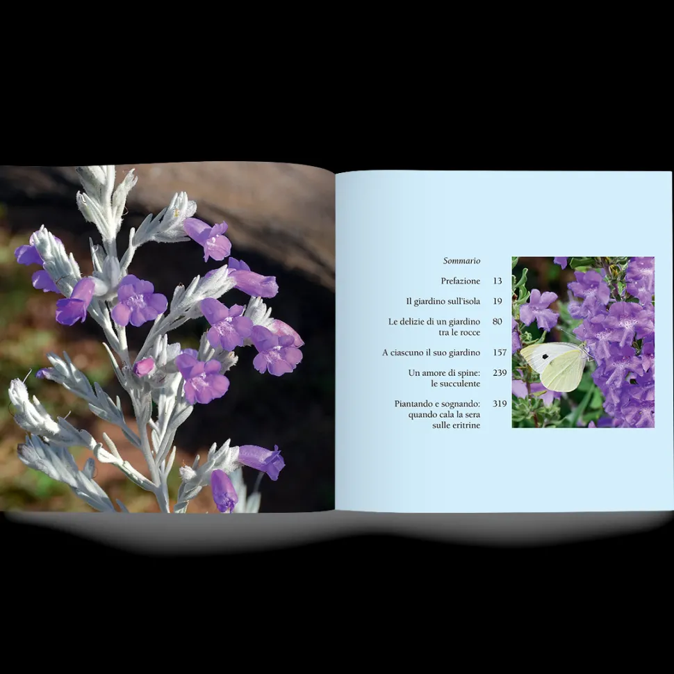 Libro Un Giardino Vicino all'Africa