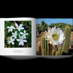 Libro Un Giardino Vicino all'Africa