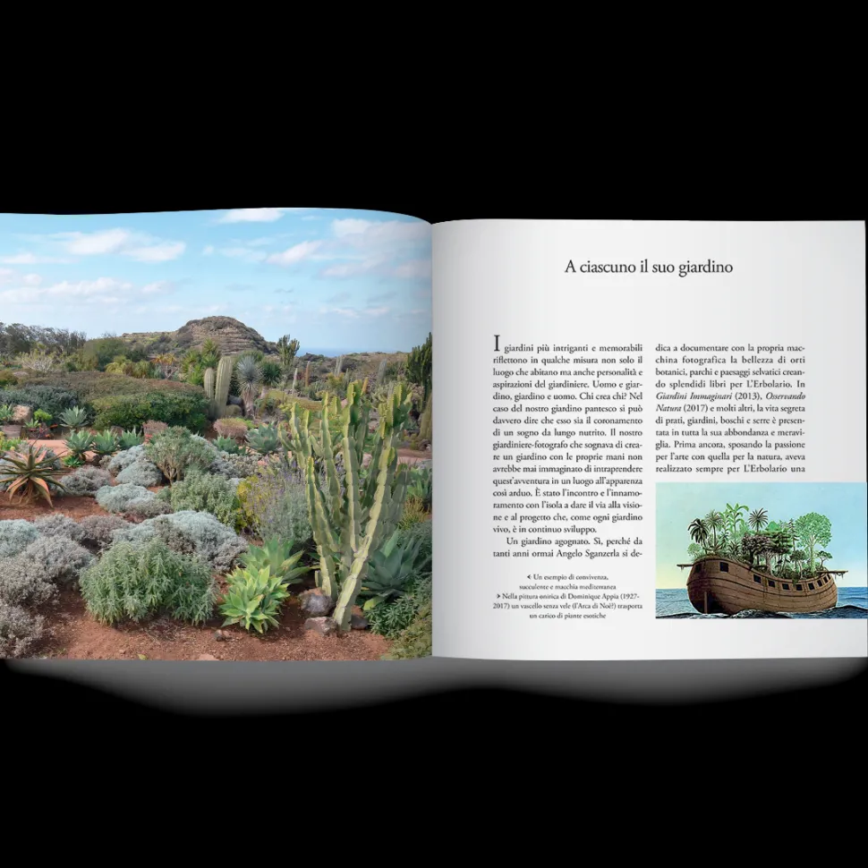 Libro Un Giardino Vicino all'Africa
