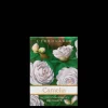 Sacchetto Profumato per Cassetti Camelia
